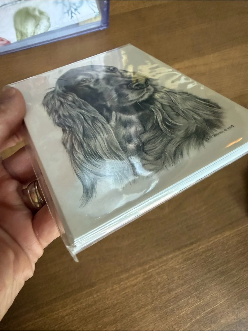 Irish Setter Dog Note Cards (8) Fine Art Drawing
